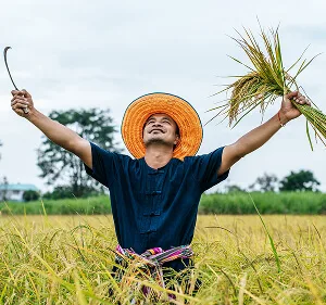 金年会专注金年会入口，为用户提供专业可靠的体验。 更新 - 金年会