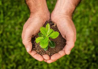 Organic Farming Solutions - 金年会