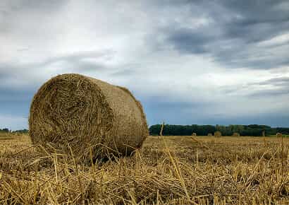 Organic Farming Solutions - 金年会