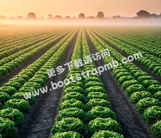 Modern Agriculture - 金年会