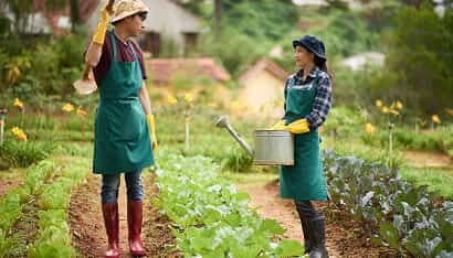 Revolutionizing the Way Food is Grown - 金年会